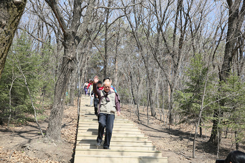 伟德体育 - 综合体育赛事平台|奥体中心相助同伴