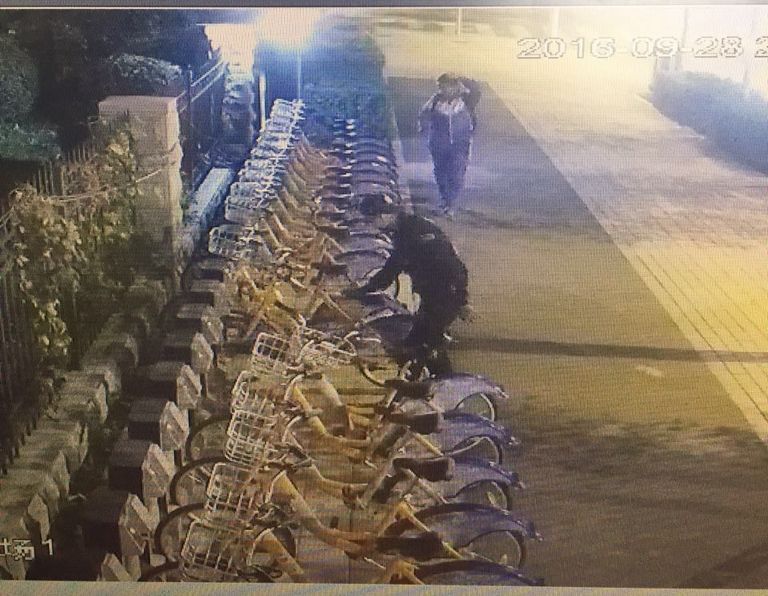 伟德体育 - 综合体育赛事平台|奥体中心相助同伴