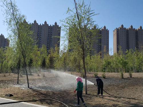 伟德体育 - 综合体育赛事平台|奥体中心相助同伴