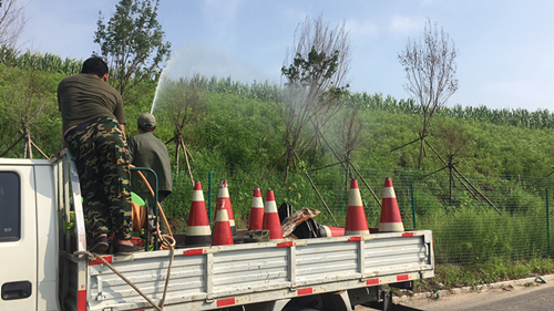 伟德体育 - 综合体育赛事平台|奥体中心相助同伴