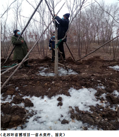 伟德体育 - 综合体育赛事平台|奥体中心相助同伴