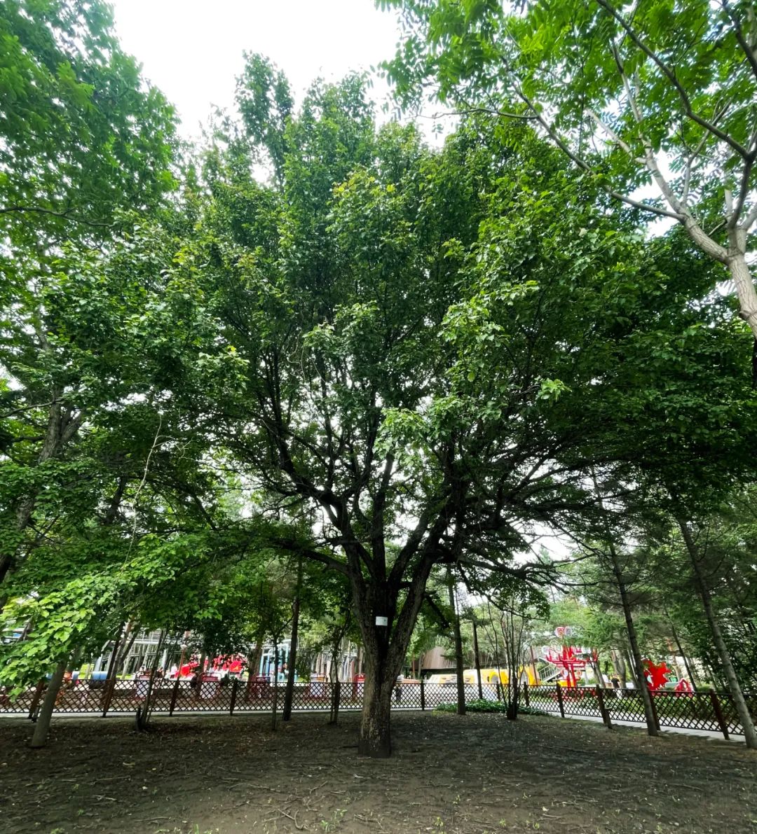 伟德体育 - 综合体育赛事平台|奥体中心相助同伴