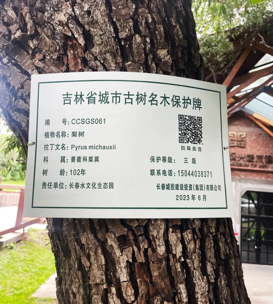 伟德体育 - 综合体育赛事平台|奥体中心相助同伴