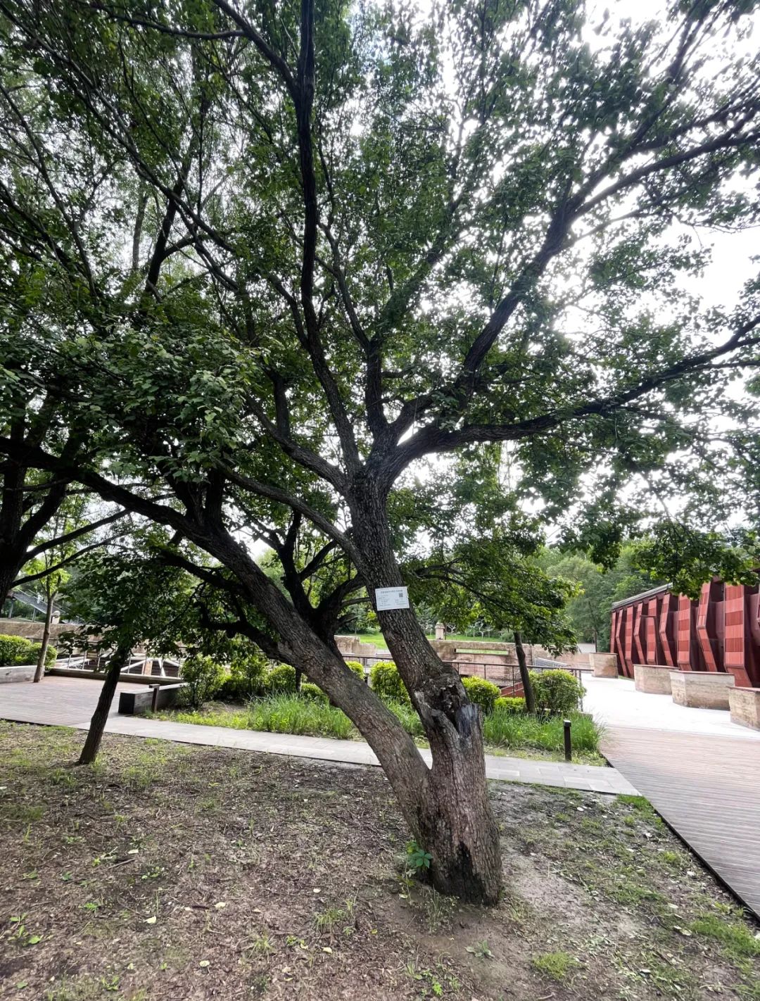 伟德体育 - 综合体育赛事平台|奥体中心相助同伴