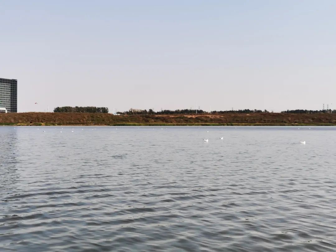 伟德体育 - 综合体育赛事平台|奥体中心相助同伴